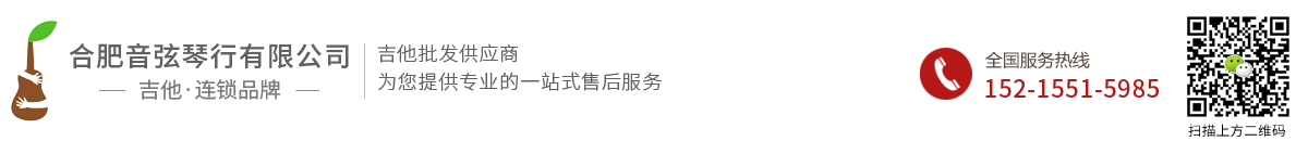 合肥音弦琴行有限公司